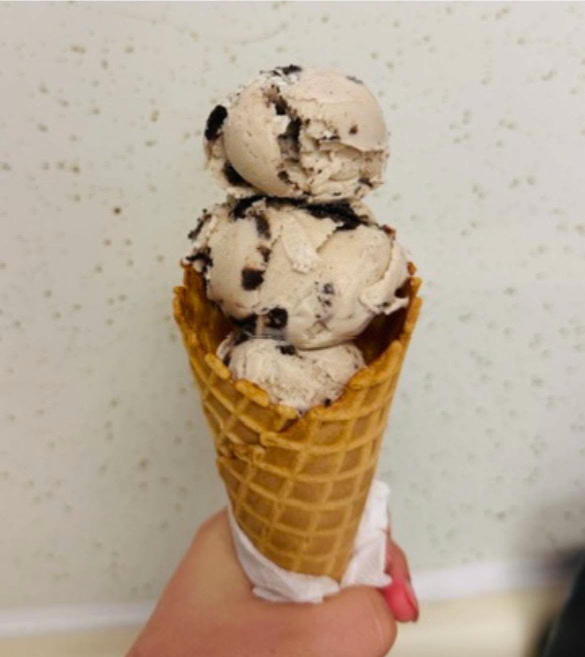 The Village Creamery