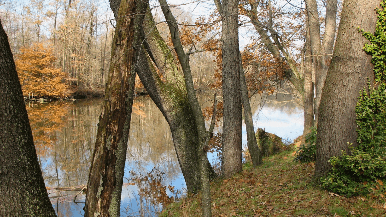 Discover scenic winter walks and birdwatching along the Grand River Wildlife Observation Trail in Trumbull County, Ohio.