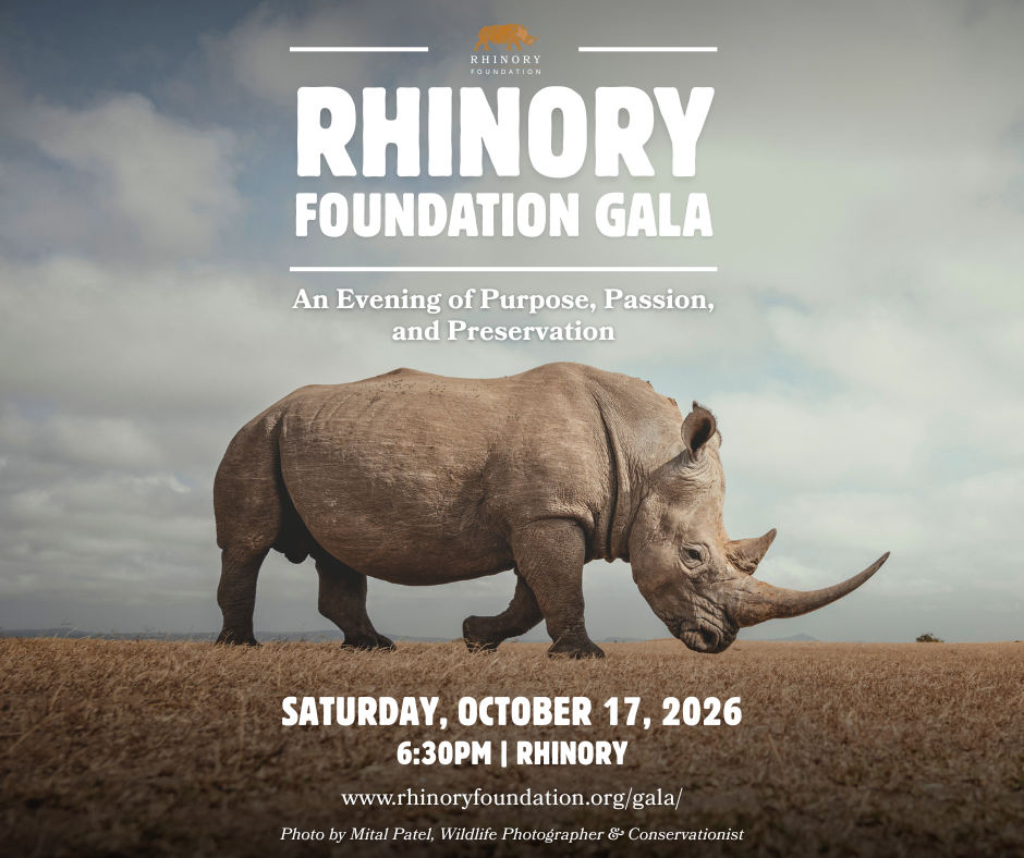 2026 Rhinory Foundation Gala
