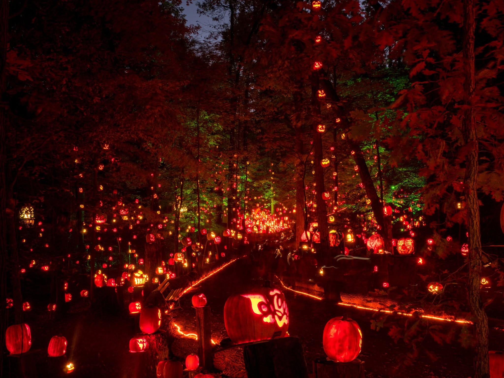 Jack’s Lantern Trail Experience 