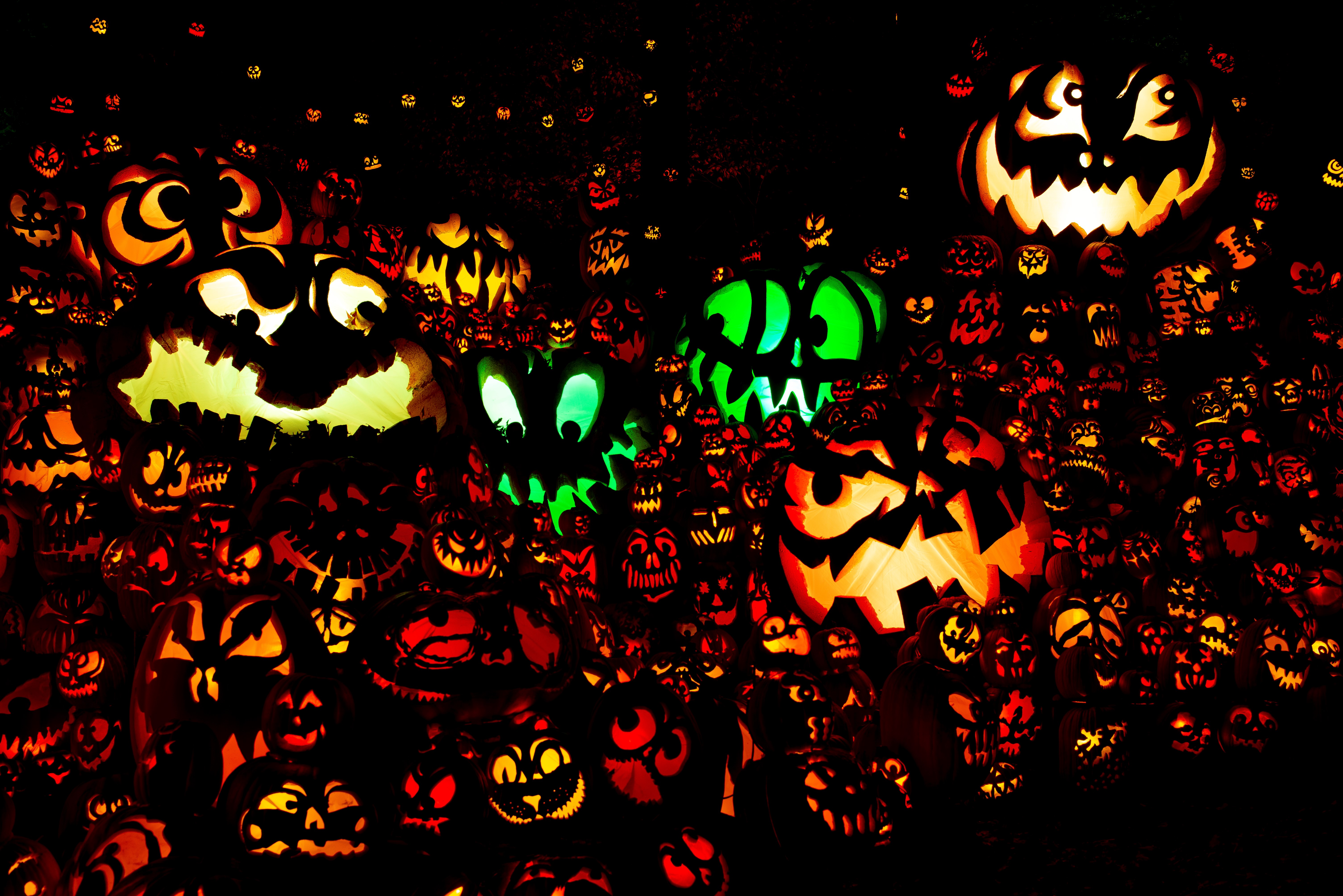 Jack O' Lantern Spectacular Experience 
