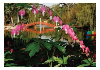 Rotary Botanical Gardens bridge