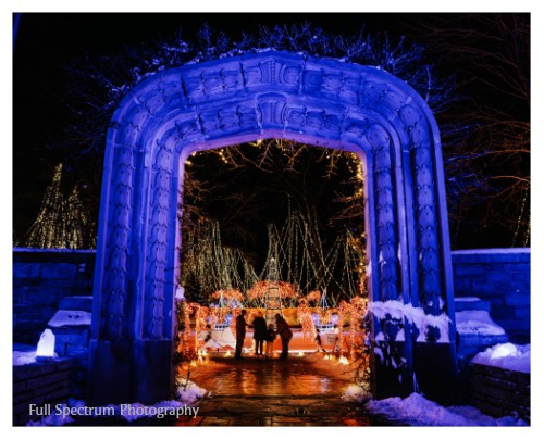 Holiday Light Show